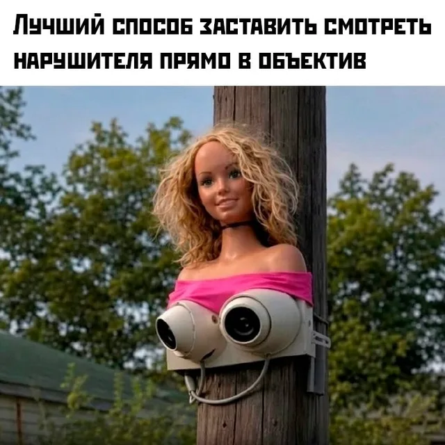 Статичное изображение куклы с камерами на столбе.