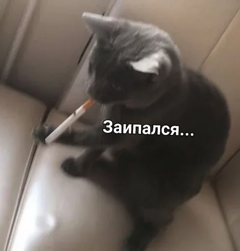 Кот сидит на диване, удерживая сигарету передней лапой. — серый кот