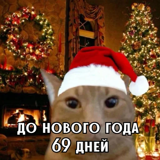 До Нового года 69 дней