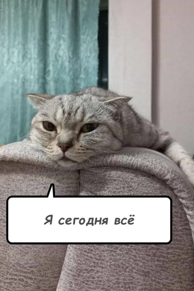 Я сегодня всё
