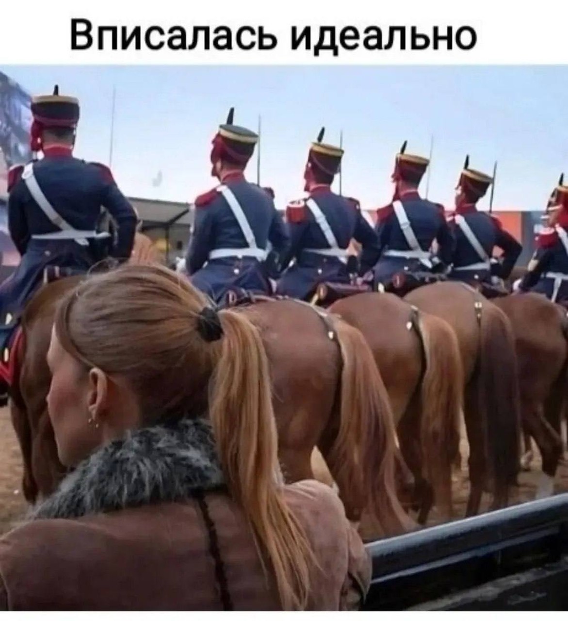 Вписалась идеально в строй