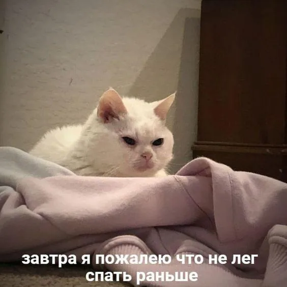 Завтра я пожалею, что не лег спать раньше