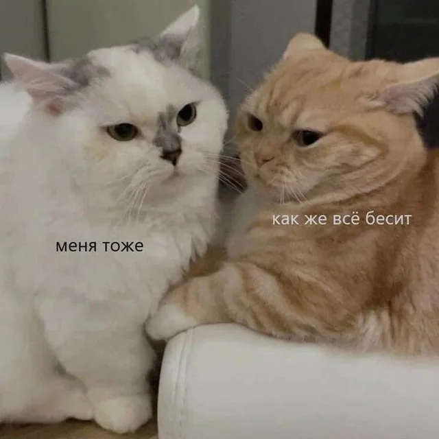 Как же всё бесит — меня тоже