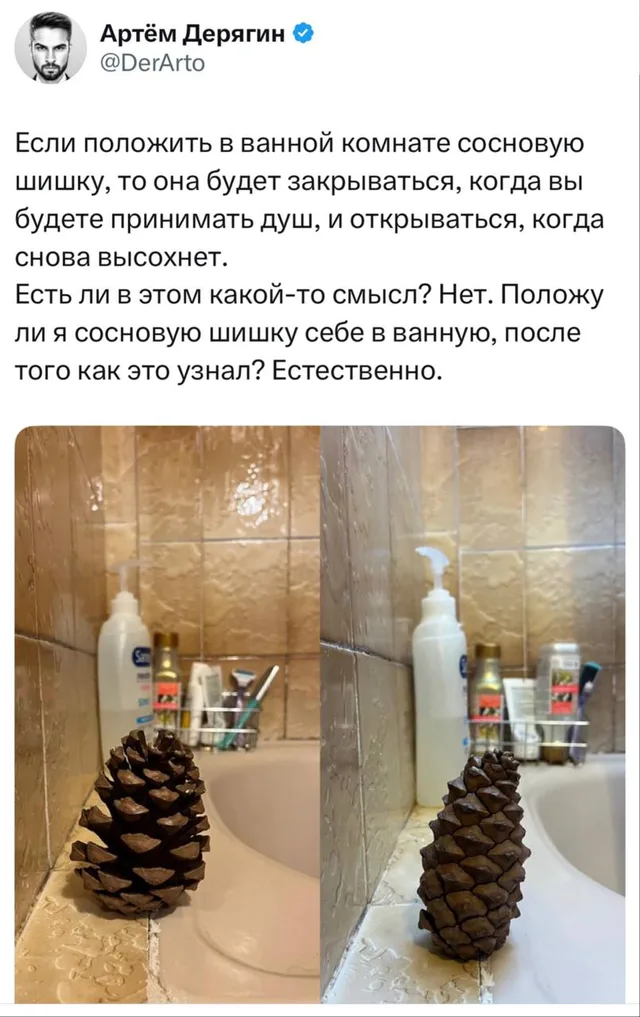 Сосновая шишка в ванной
