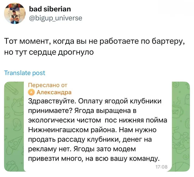 Оплата ягодой клубники