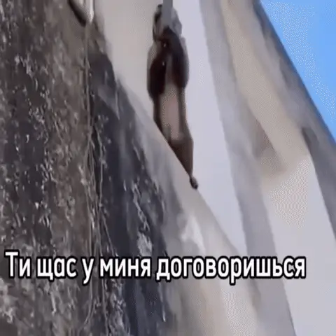 Обезьяна быстро спускается (соскальзывает) по стене здания вниз