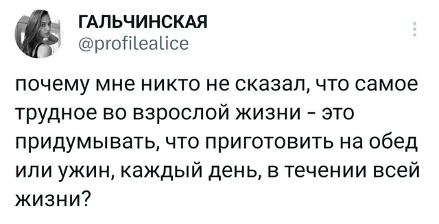 Статичное изображение текста твита. — автор поста с ником @profilealice