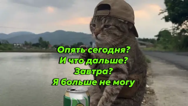 Кот сидит у дороги, подносит к роту сигарету, затягивается, затем делает глоток из банки и выдыхает дым — серый кот в кепке