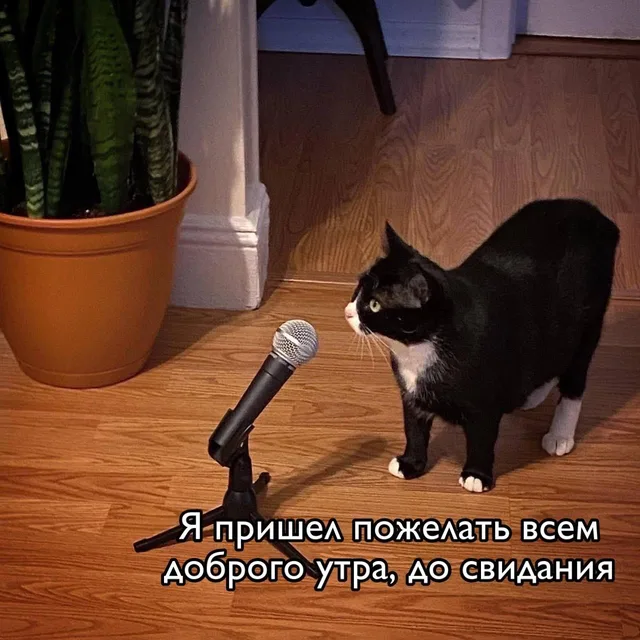 Я пришел пожелать всем доброго утра, до свидания