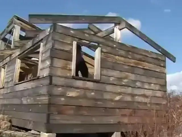 Вы кто такие? Я вас не звал!