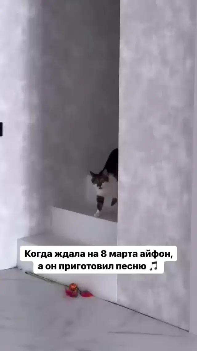 Когда ждала айфон, а он приготовил песню