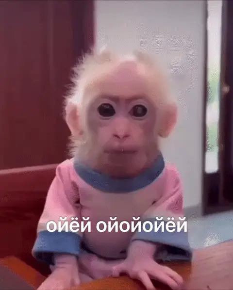 Ойёй ойёйойёй обезьянка