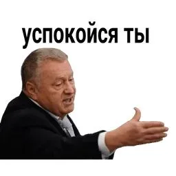 Жириновский: успокойся ты
