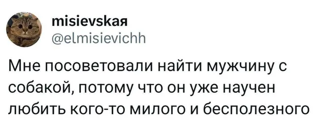 Мужчина с собакой научен любить милое и бесполезное