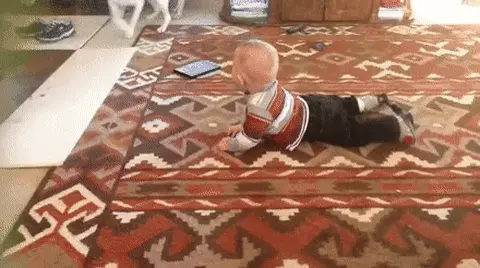 Собака сбивает ребенка с ног