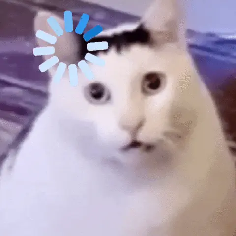 Загрузка кота