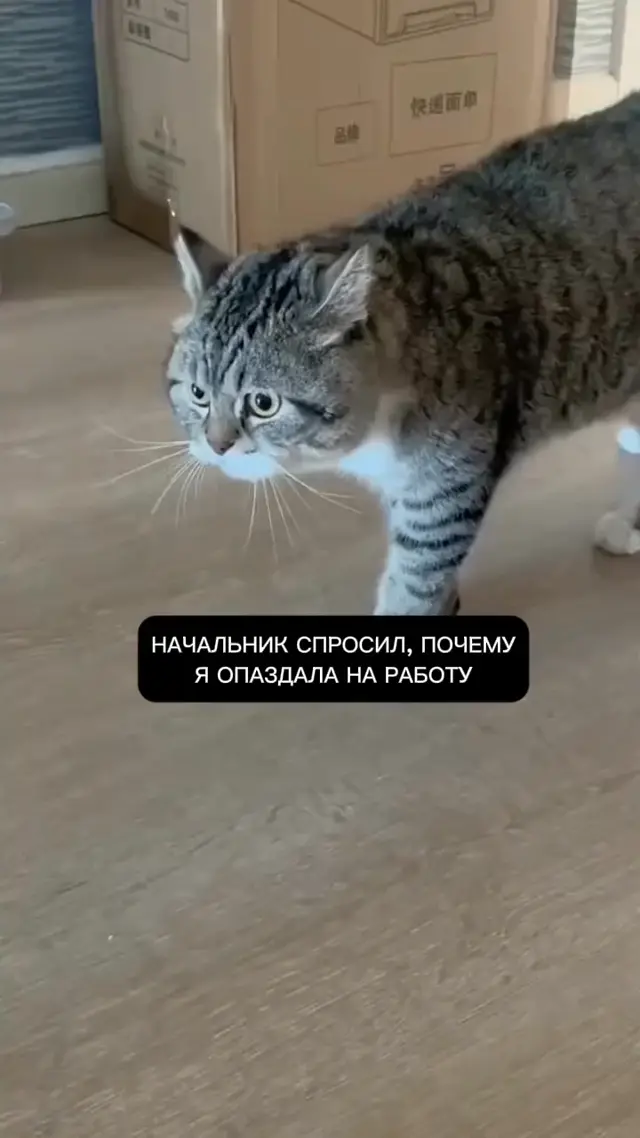 В смысле опоздала?! Я так всегда прихожу!