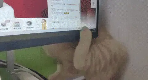 Кот чешется за монитором