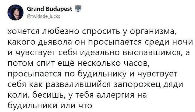 Скриншот твита с длинным текстом жалобы на режим сна — Автор твита Grand Budapest