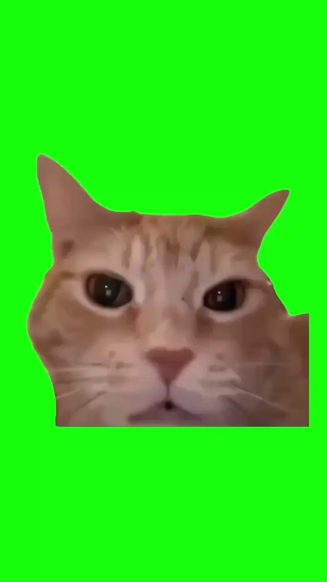 Смеющийся рыжий кот на зеленом фоне