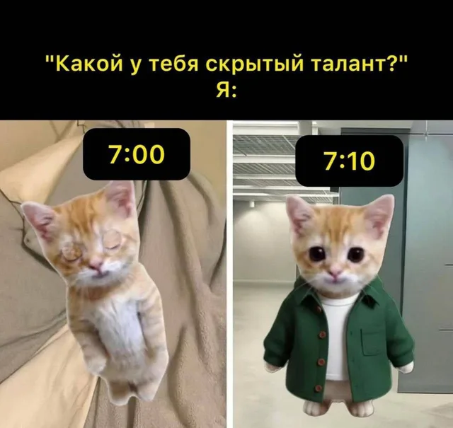 Котенок превращается из сонного существа в собранного и одетого за 10 минут. — рыжий котенок