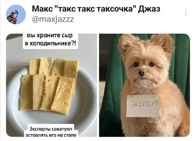 Статичное изображение, разделенное на две части. — пушистая собака