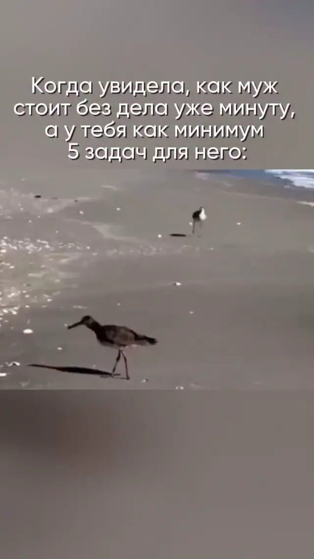 Когда увидела, что муж стоит без дела