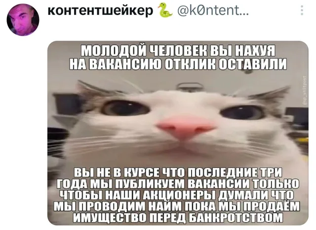 Вы нахуя на вакансию отклик оставили