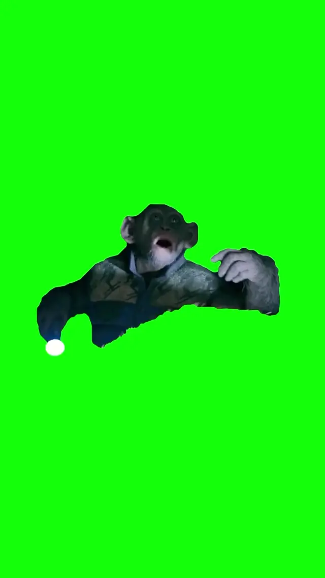 Обезьяна в куртке говорит Oh No на хромакее