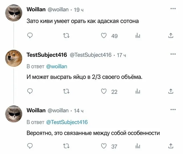 Пользователи обмениваются репликами о биологических особенностях птицы киви. — пользователь @woillan, пользователь @TestSubject416