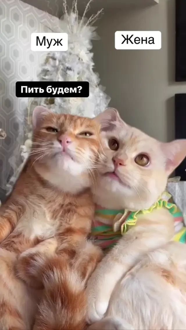 Муж и жена решают, пить ли дальше на праздниках