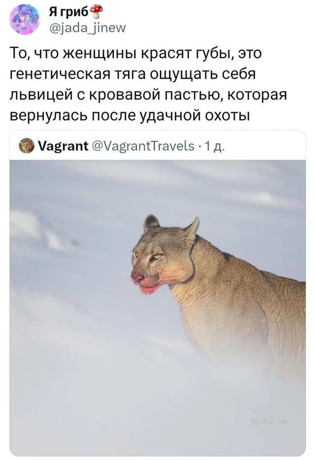Животное стоит на снегу, повернув голову в профиль.
