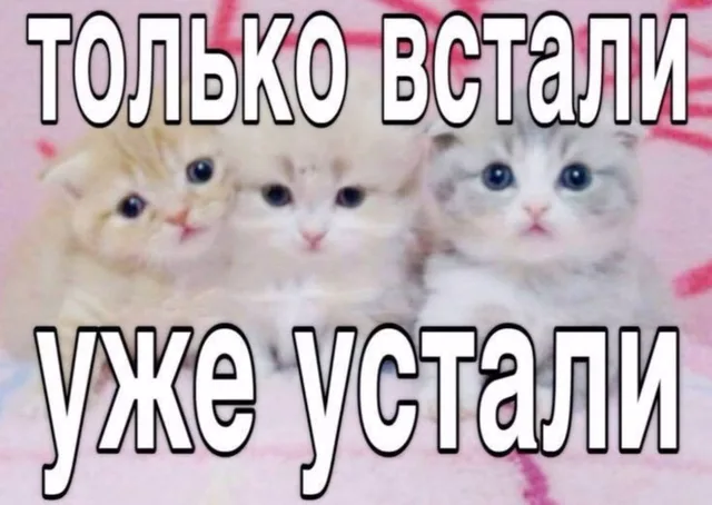 Только встали — уже устали