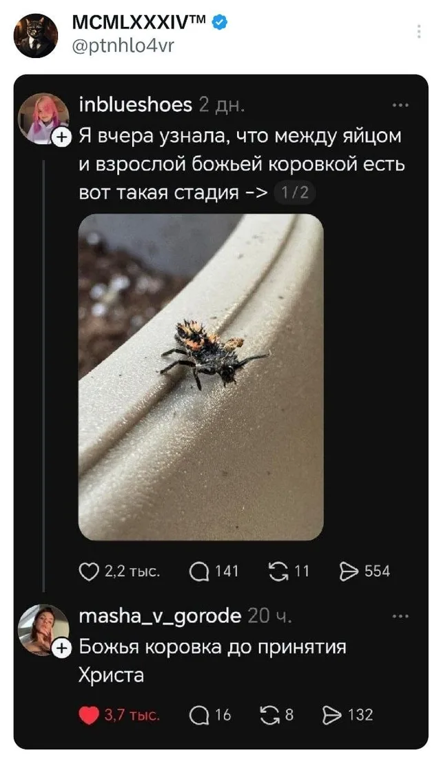 Божья коровка до принятия Христа