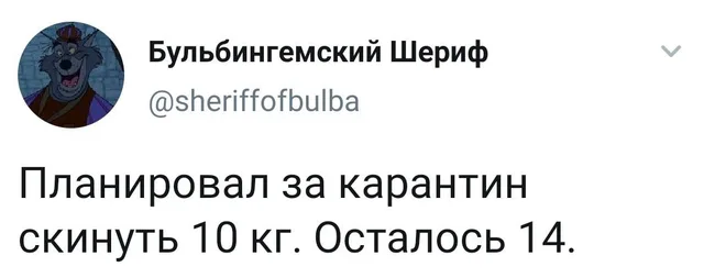 Текст зафиксирован в виде статичного изображения твита. — персонаж на аватарке — шериф Ноттингема из мультфильма «Робин Гуд»