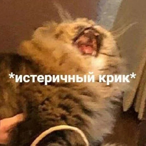 file 1233563