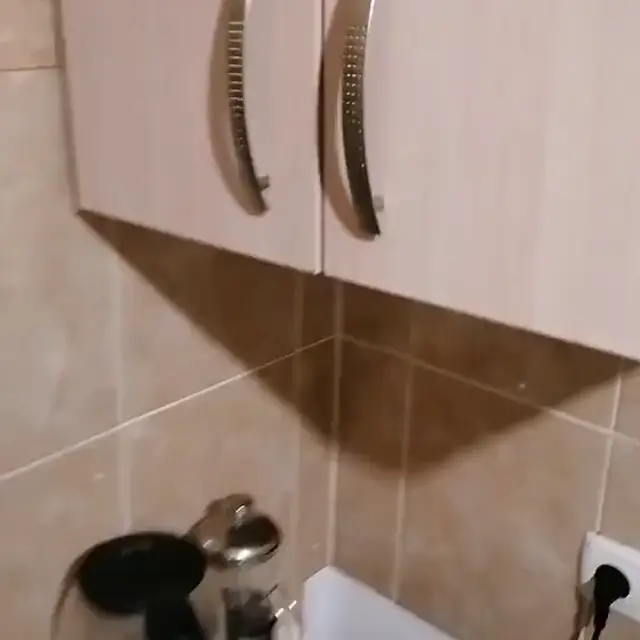 Когда нашёл сову в кухонном шкафу