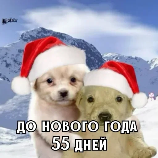 До Нового года осталось 55 дней