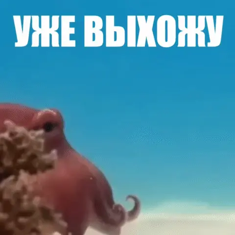 Уже выхожу