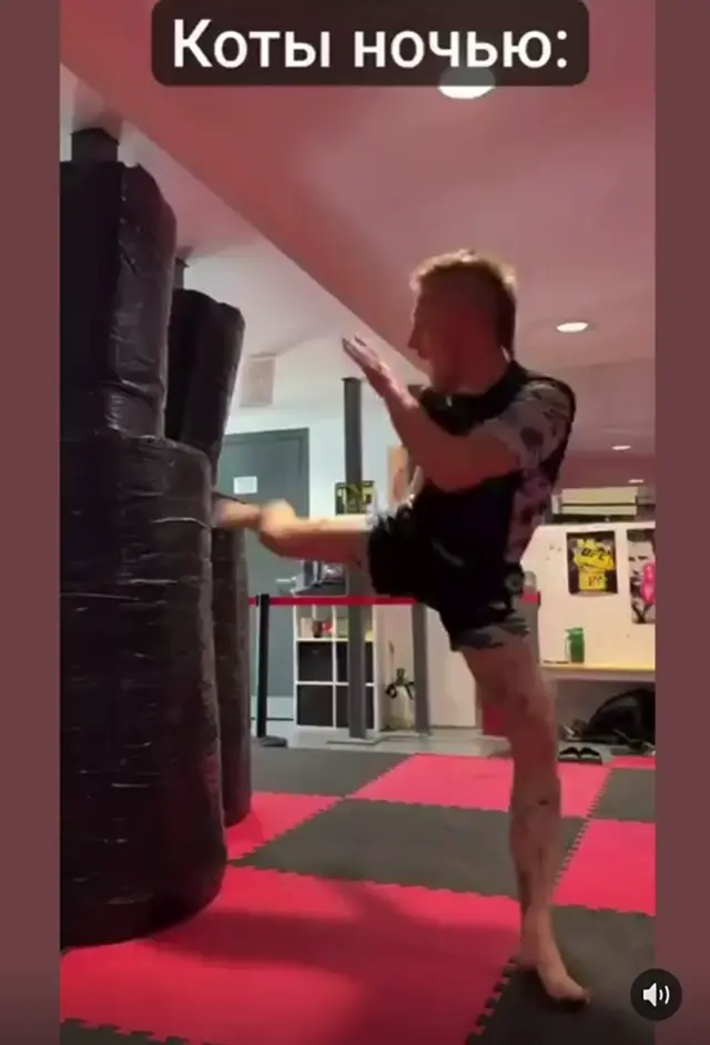 Коты ночью устраивают тыгыдык