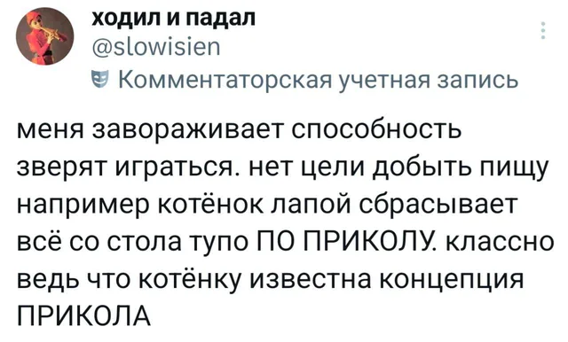 Скриншот текстового поста из социальной сети (вероятно, Twitter/X). Автор рассуждает о том, что животные умеют играть просто ради забавы, пр