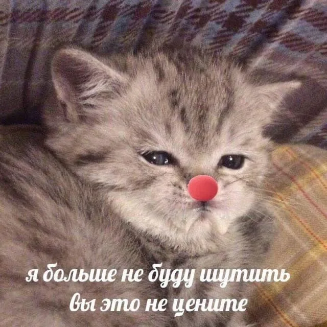 Я больше не буду шутить