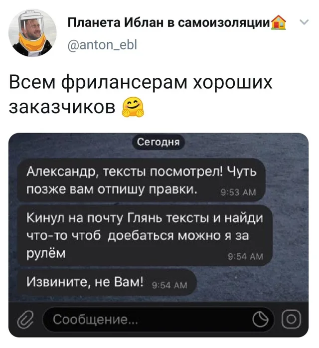 Изображение статично, демонстрирует переписку, где заказчик случайно отправляет исполнителю сообщение, предназначенное другому человеку, в к