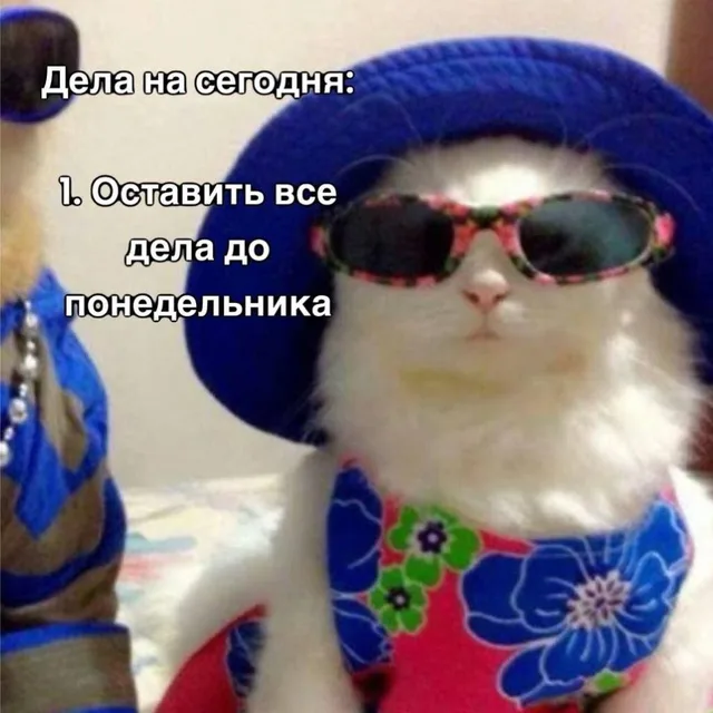 Дела на сегодня: оставить всё до понедельника