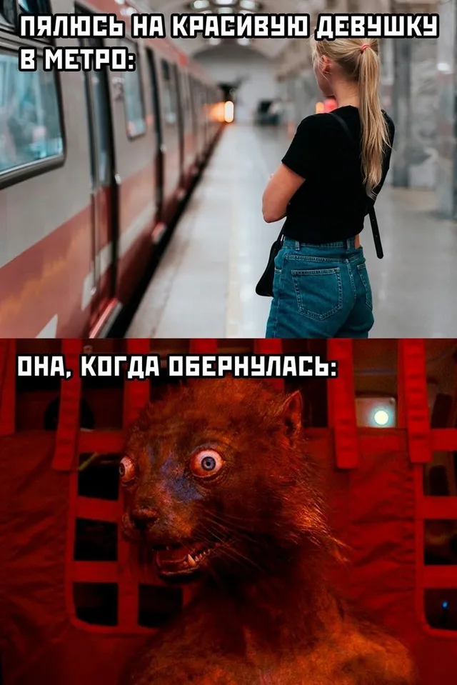 Девушка стоит спиной, затем резкий переход к крупному плану существа с безумным взглядом. — девушка со спины, чучело животного с безумным вз