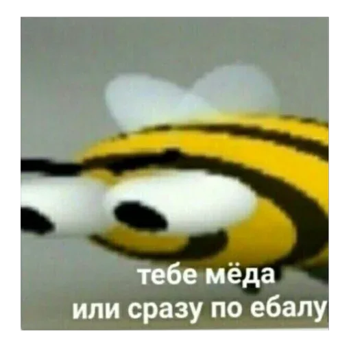 Статичное изображение пчелы, смотрящей прямо в камеру.