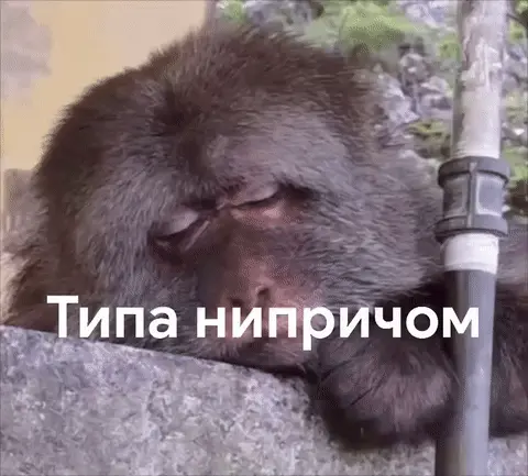 Типа нипричом: когда спалился, но делаешь вид