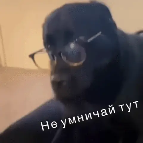 Собака в очках просит не умничать