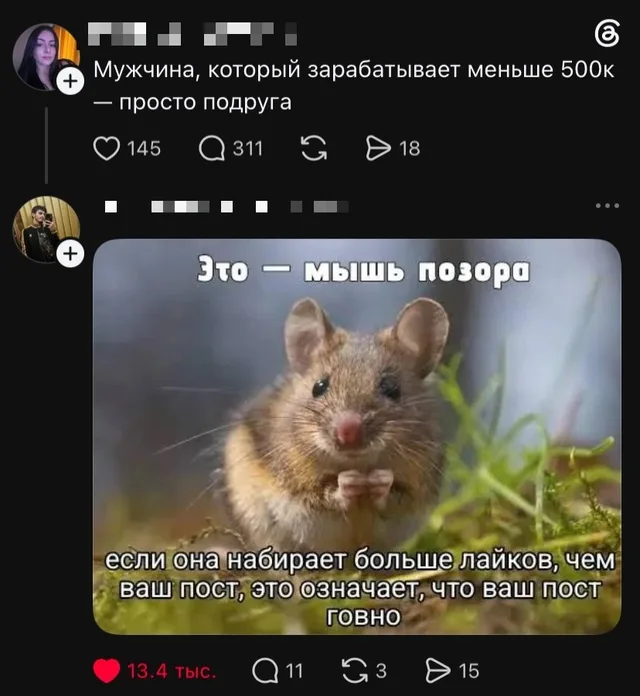 Изображение статично, демонстрирует пост с мышью, который набрал 13.4 тысячи лайков.