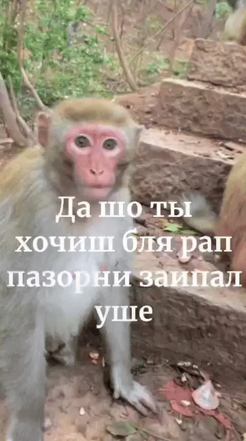 Да шо ты хочиш бля рап пазорни